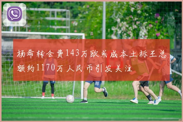 杨希转会费143万欧或成本土标王总额约1170万人民币引发关注