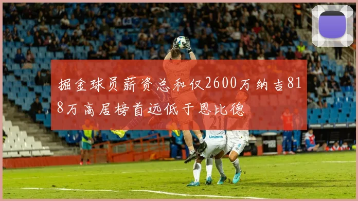 掘金球员薪资总和仅2600万纳吉818万高居榜首远低于恩比德