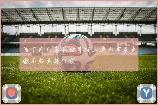 马丁内利喜获世界杯入选加布发声邀兄弟共赴征程
