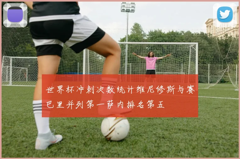 世界杯冲刺次数统计维尼修斯与赛巴里并列第一萨内排名第五